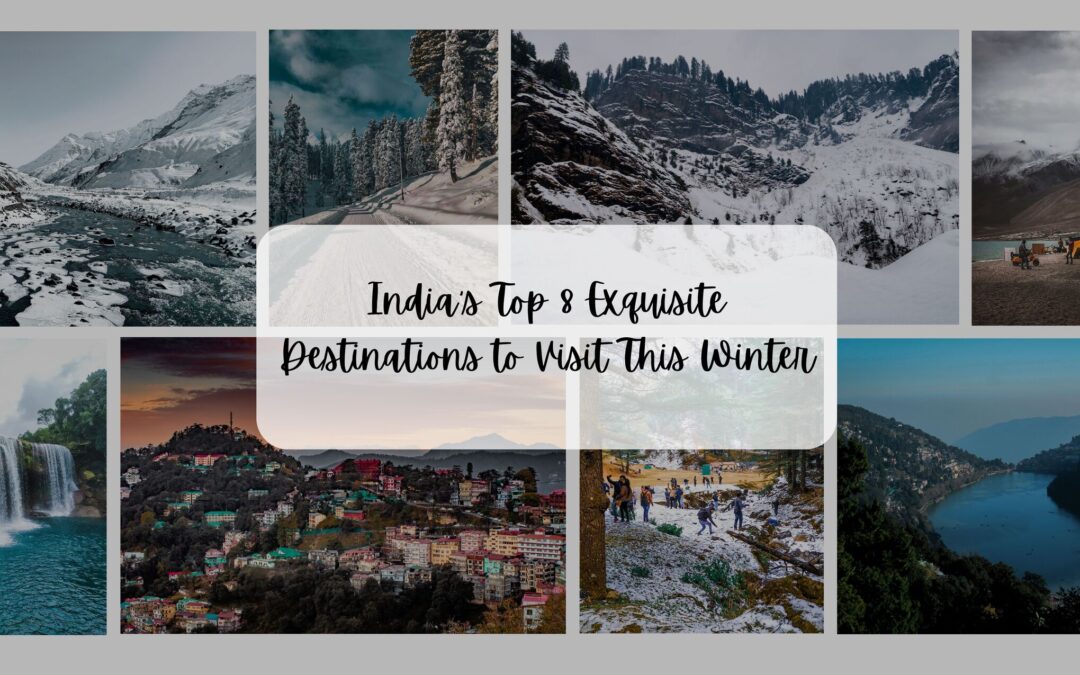 Luxury Van Rental – Best 8 Places to Visit in India This Winter