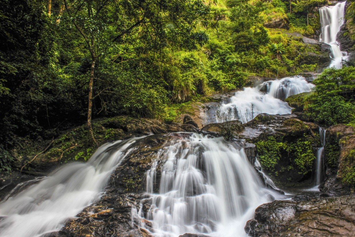 Coorg | Luxury Tempo Traveller on Rent