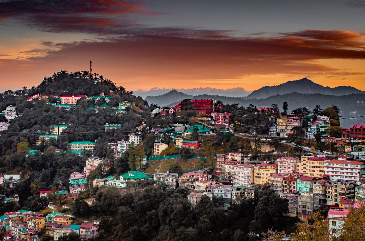 Shimla