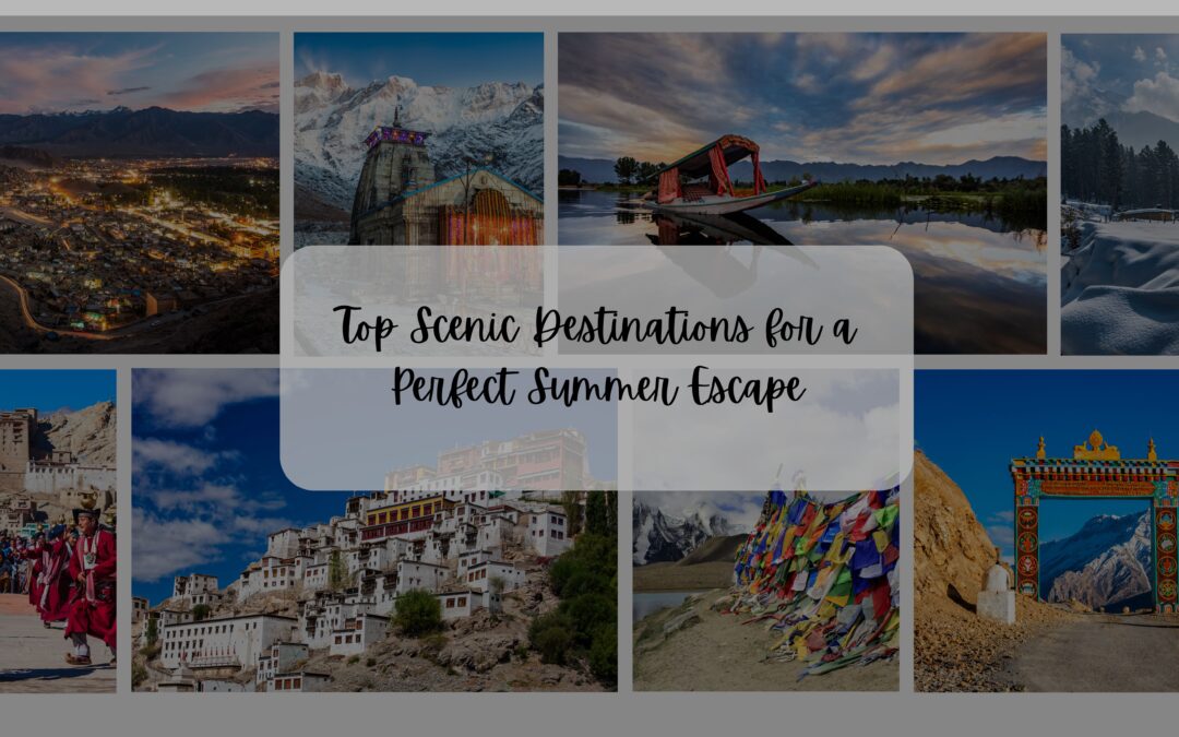 Force Urbania on Rent – Luxurious Traveling Experience in North India