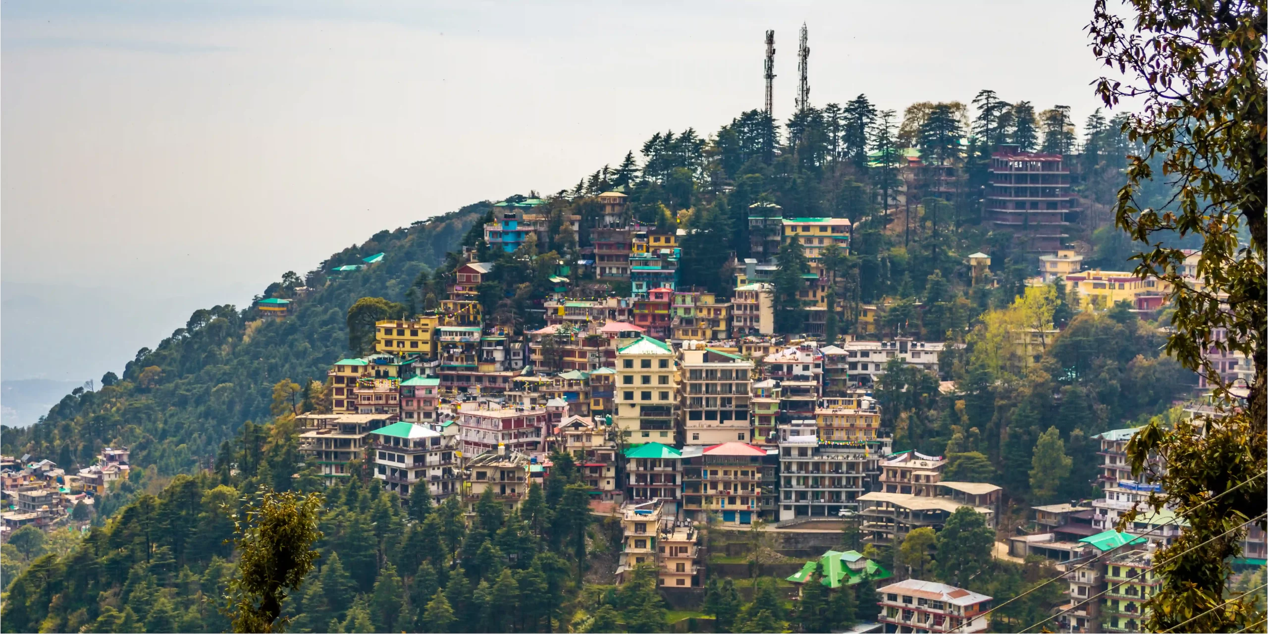 Force Urbania Traveller Booking for luxury group travel and outstation tours in India